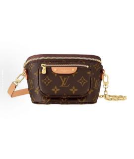 LOUIS VUITTON Поясная сумка