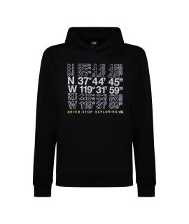 THE NORTH FACE Худи/толстовка