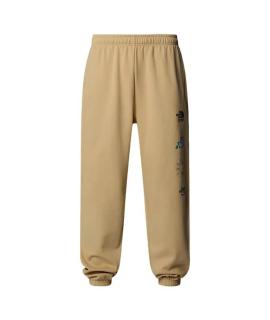 THE NORTH FACE Повседневные брюки