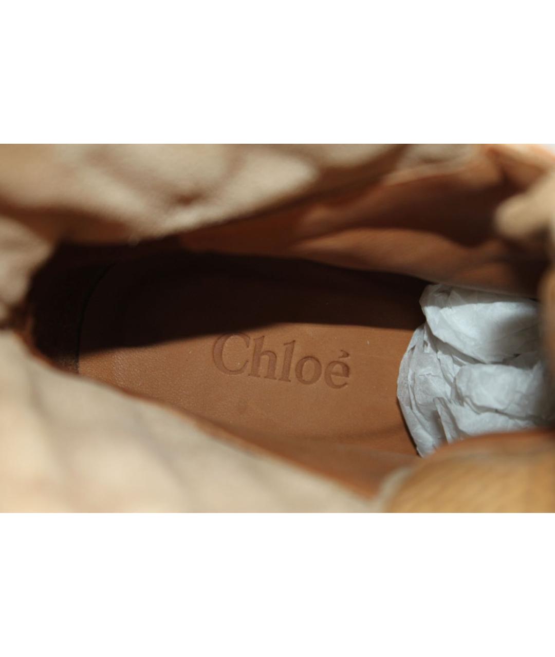 CHLOE Бежевые замшевые кеды, фото 6