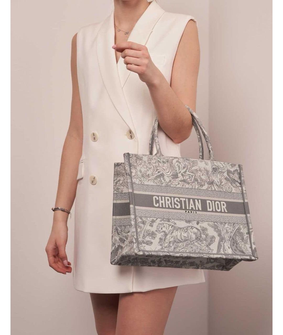 CHRISTIAN DIOR Серая сумка тоут, фото 2