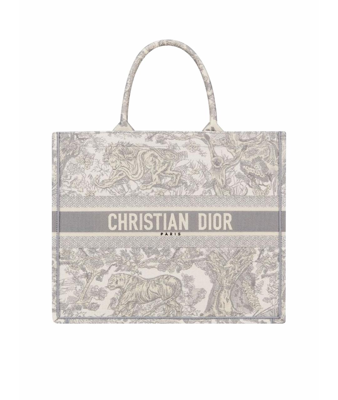 CHRISTIAN DIOR Серая сумка тоут, фото 1