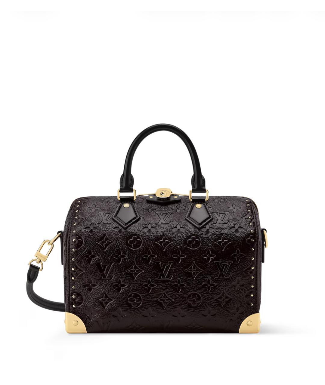 LOUIS VUITTON Кожаная сумка тоут, фото 1