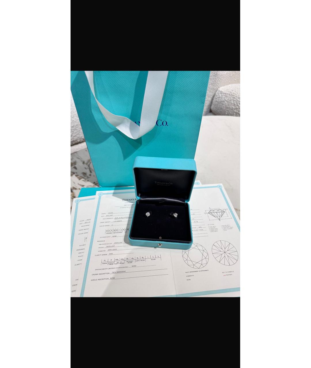 TIFFANY&CO Серебряные платиновые серьги, фото 3