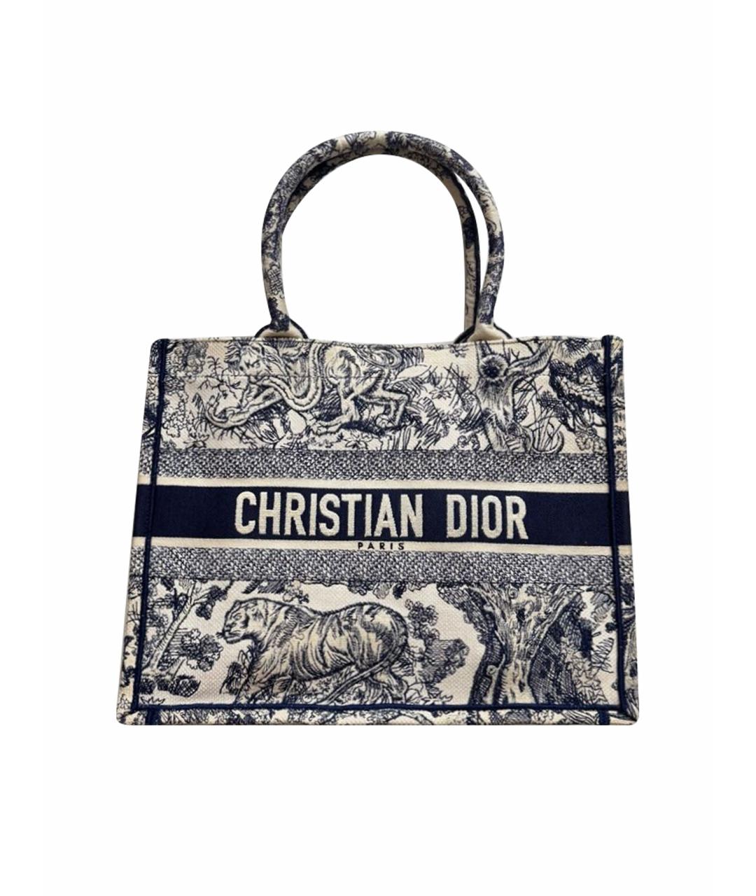 CHRISTIAN DIOR Голубая тканевая пляжная сумка, фото 1