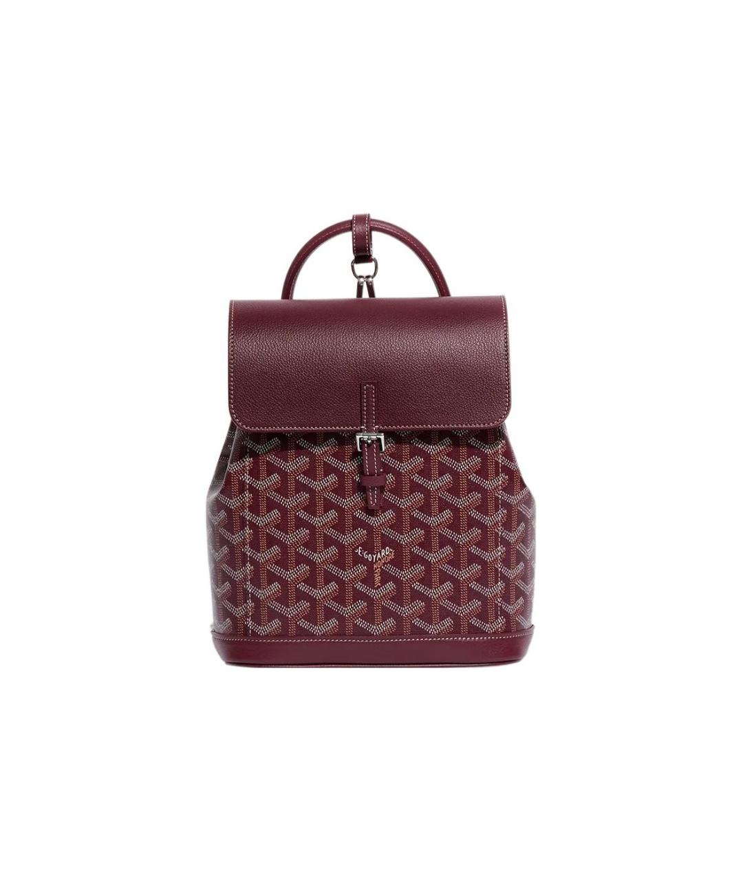 GOYARD Рюкзак, фото 1
