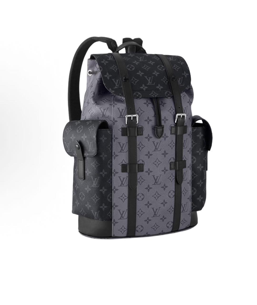 LOUIS VUITTON Серый кожаный рюкзак, фото 2
