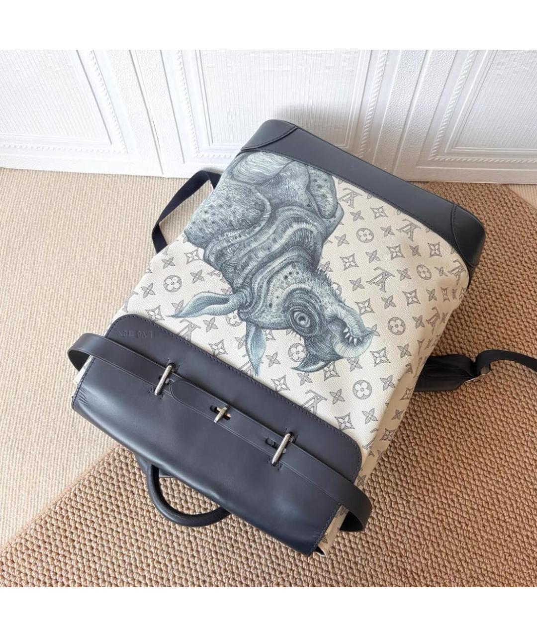 LOUIS VUITTON Рюкзак, фото 4