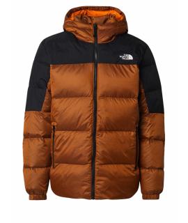 THE NORTH FACE Пуховик
