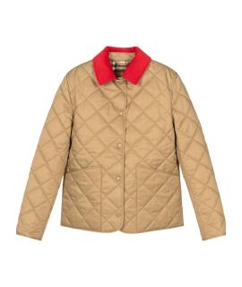 BURBERRY KIDS Верхняя одежда