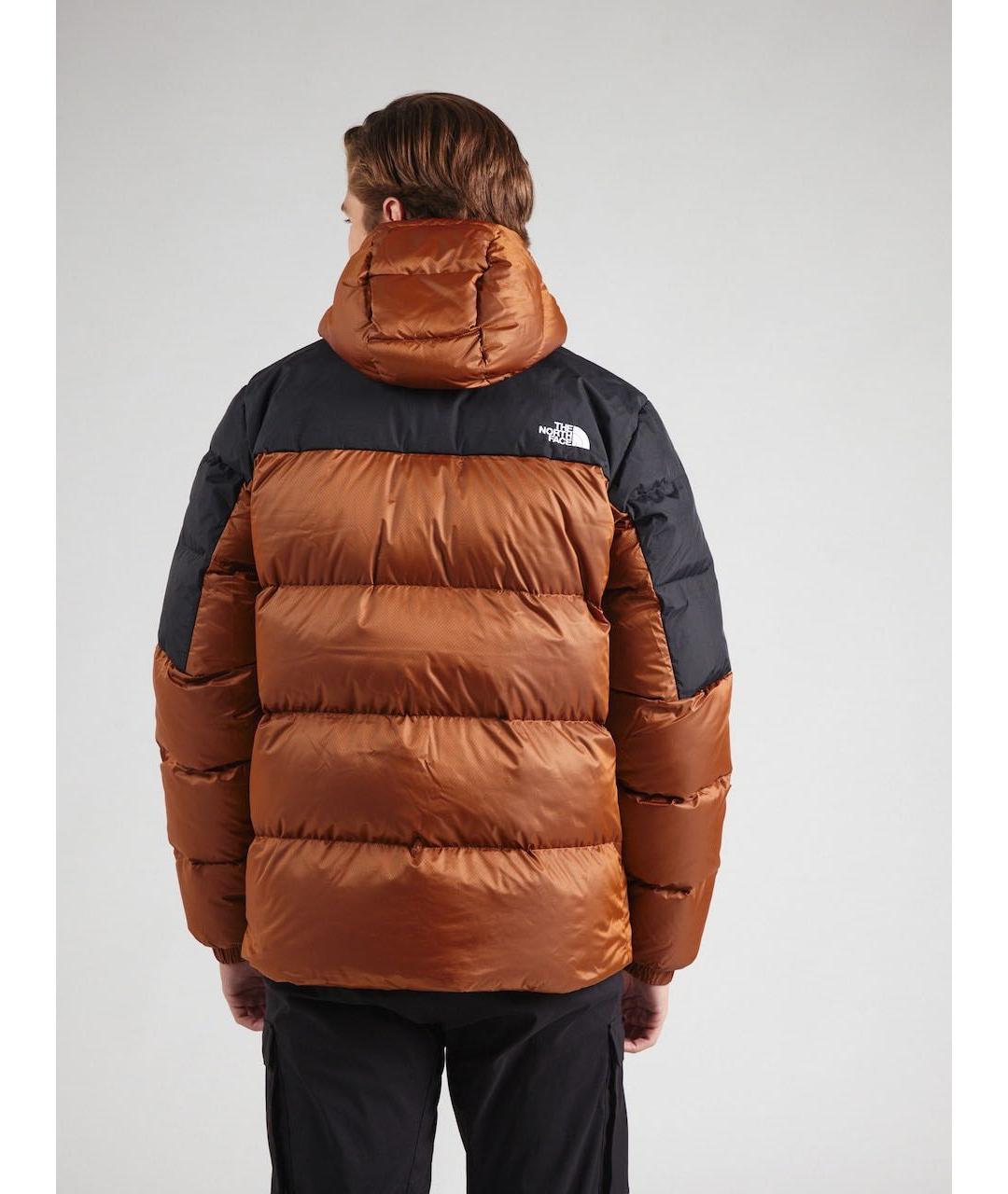 THE NORTH FACE Коричневый полиэстеровый пуховик, фото 4
