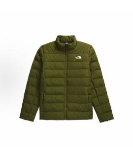 THE NORTH FACE Пуховик