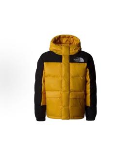 THE NORTH FACE Пуховик