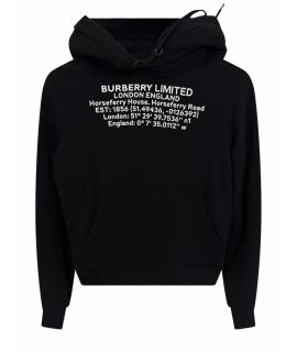 BURBERRY Худи/толстовка