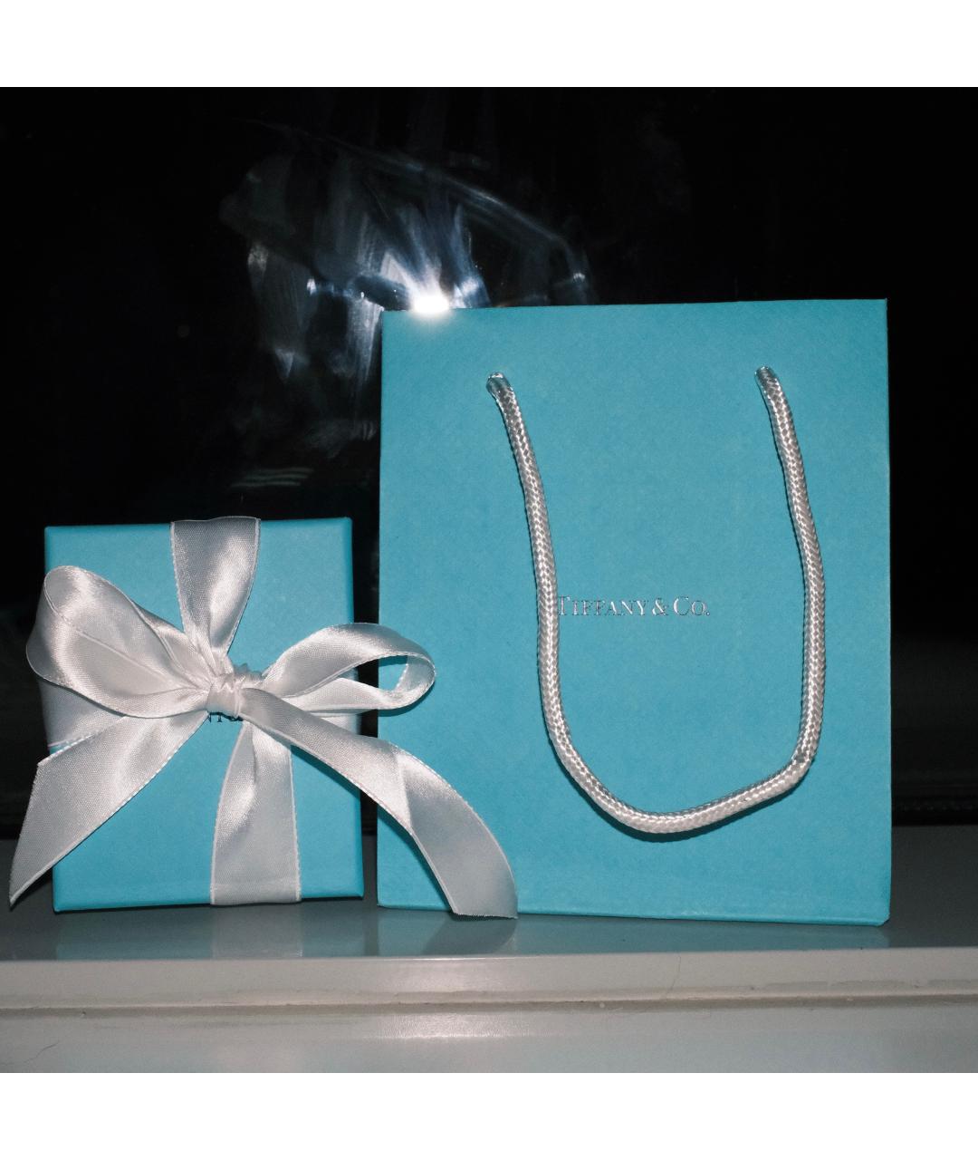 TIFFANY&CO Серебряное серебряное колье, фото 4