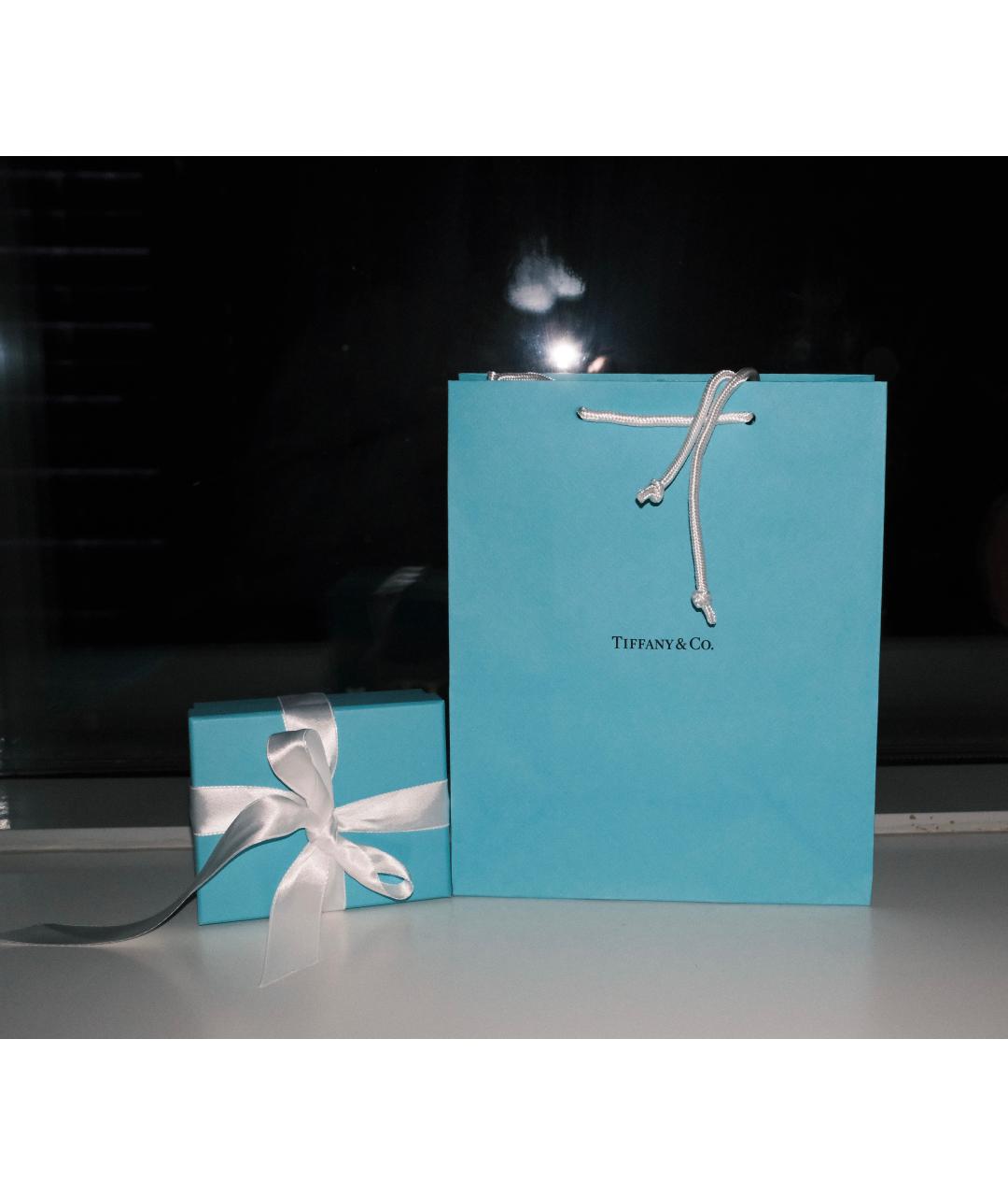 TIFFANY&CO Бирюзовые серебряные серьги, фото 5