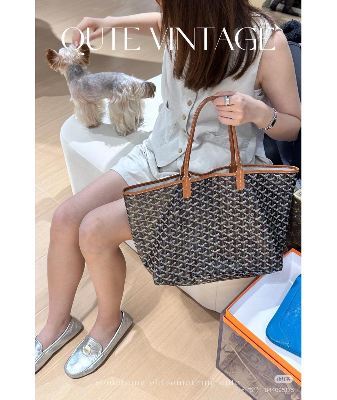 GOYARD Коричневая сумка тоут, фото 4