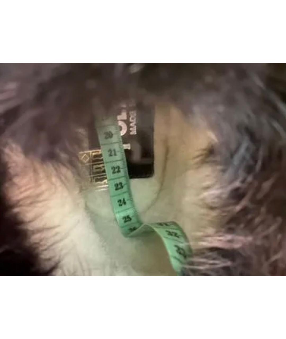 POLLINI Черные замшевые ботинки, фото 8