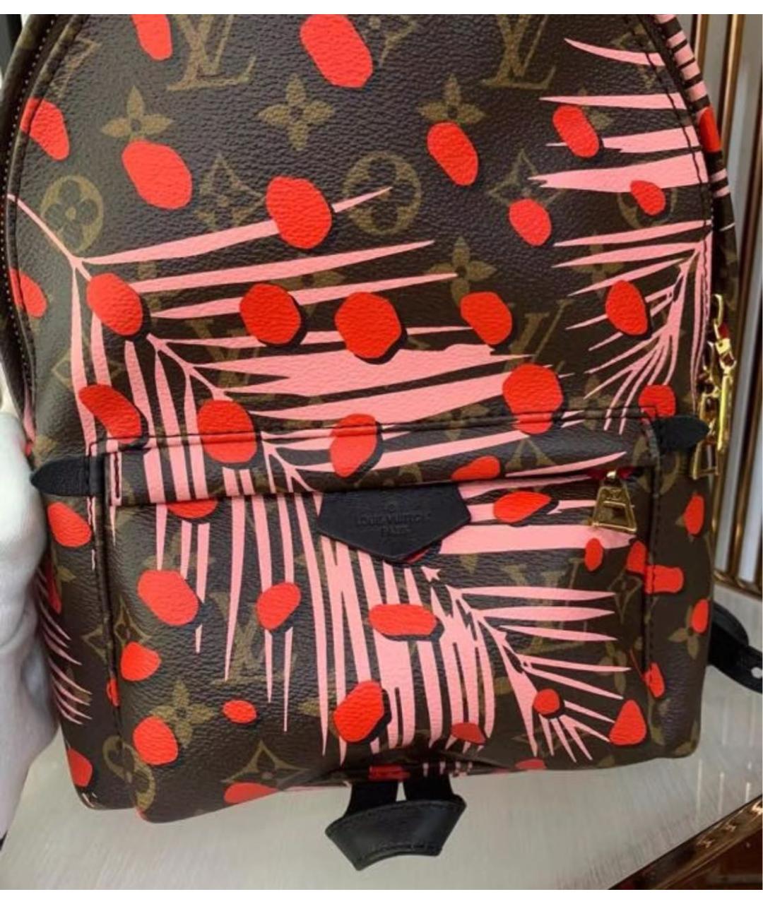LOUIS VUITTON Коричневый рюкзак, фото 5