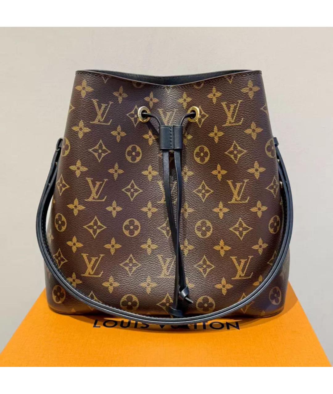 LOUIS VUITTON Коричневая кожаная сумка тоут, фото 2