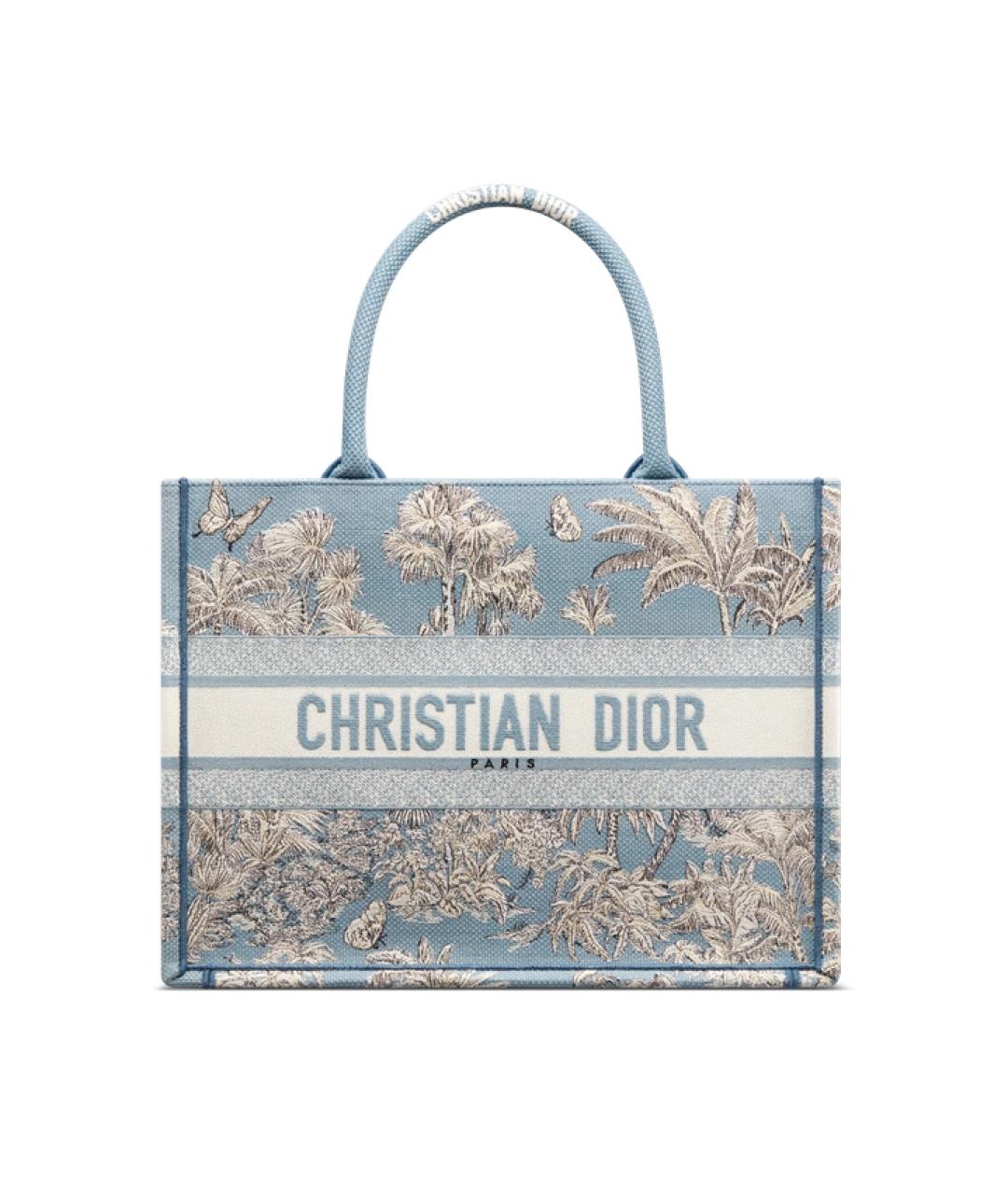 CHRISTIAN DIOR Голубая тканевая сумка тоут, фото 1