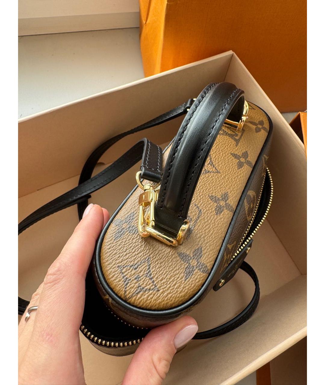 LOUIS VUITTON Коричневая сумка тоут, фото 7
