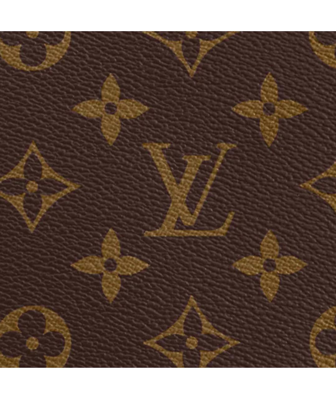 LOUIS VUITTON Коричневая кожаная сумка через плечо, фото 5