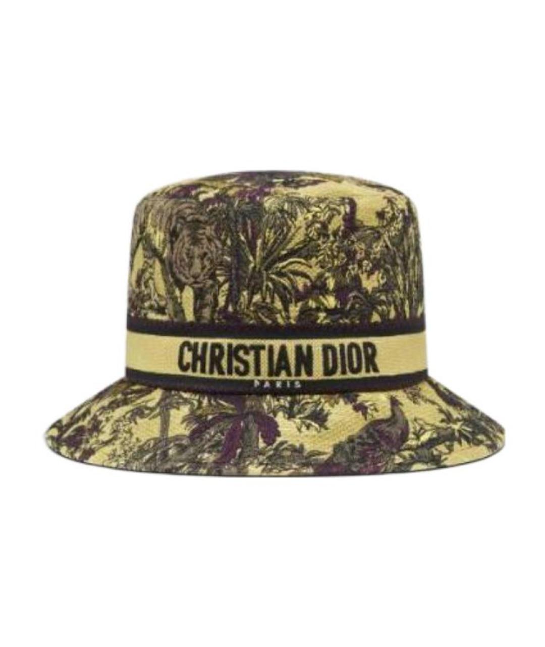 CHRISTIAN DIOR Мульти панама, фото 1