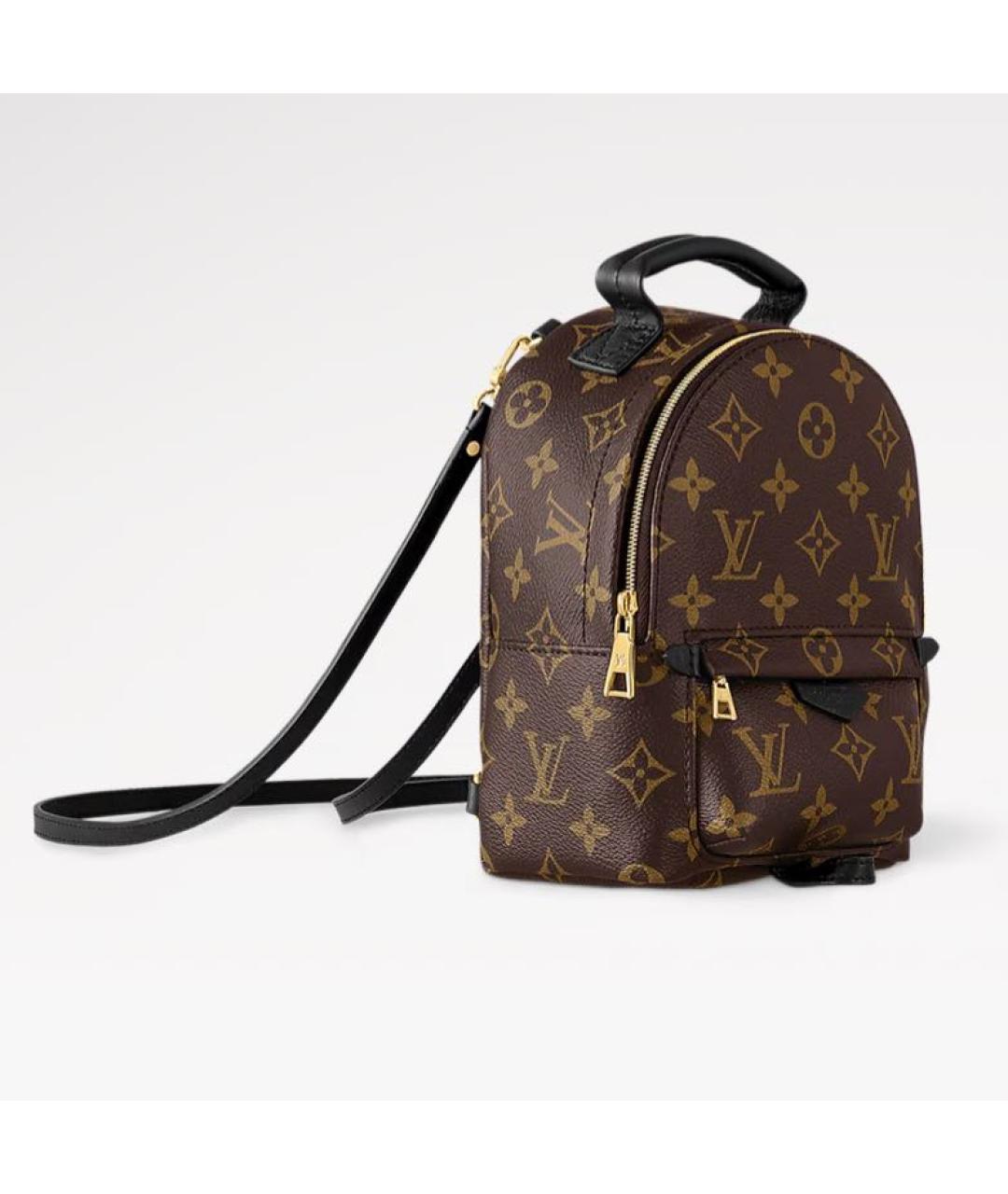 LOUIS VUITTON Коричневый рюкзак, фото 2