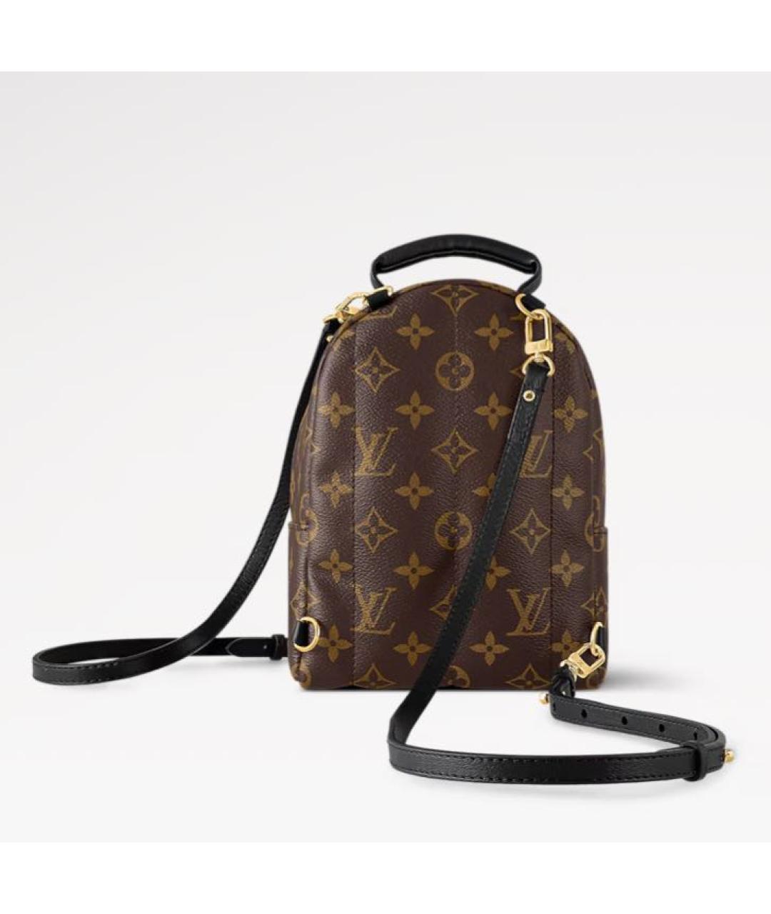 LOUIS VUITTON Коричневый рюкзак, фото 5