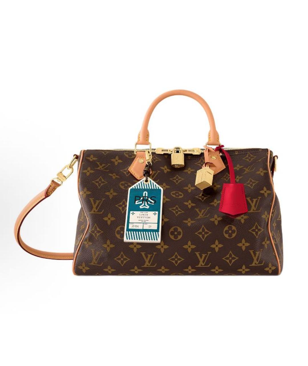 LOUIS VUITTON Коричневая кожаная сумка тоут, фото 5