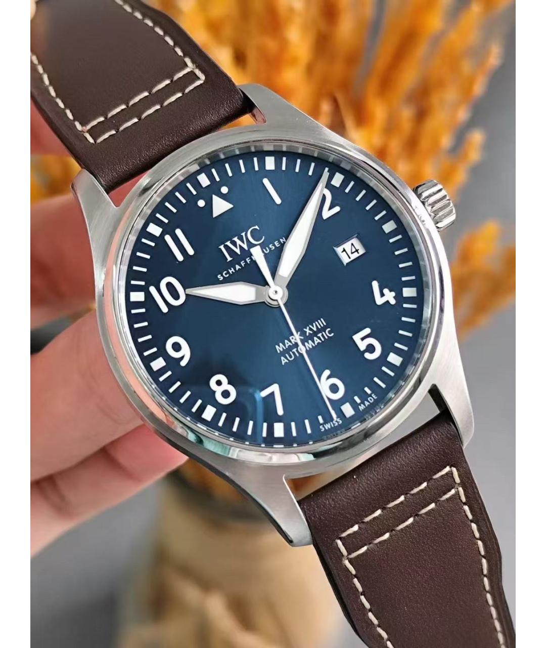 IWC Schaffhausen Коричневые стальные часы, фото 2
