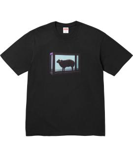 SUPREME Футболка