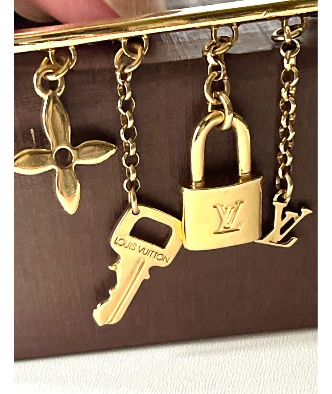 LOUIS VUITTON Золотая металлическая булавка / брошь, фото 3