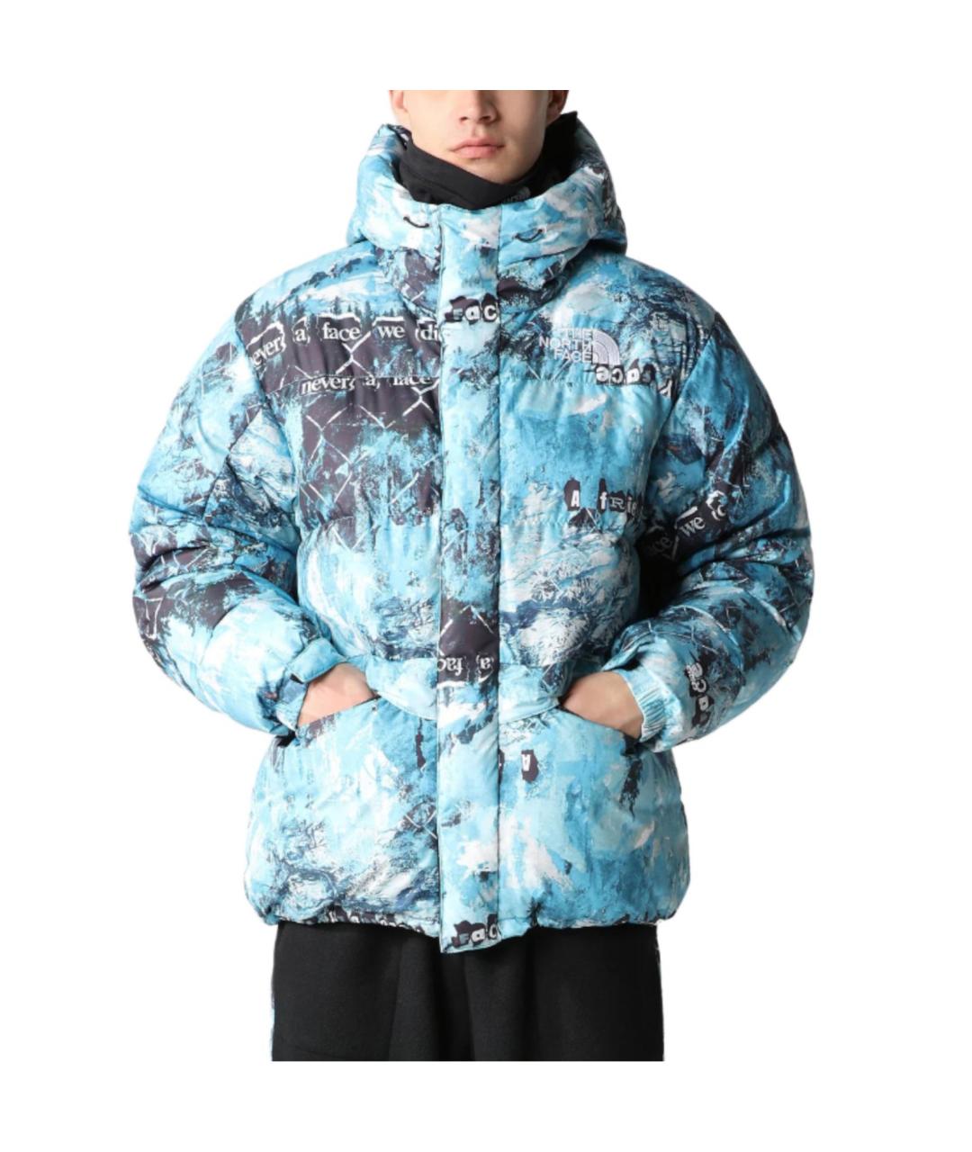 THE NORTH FACE Синий пуховик, фото 4