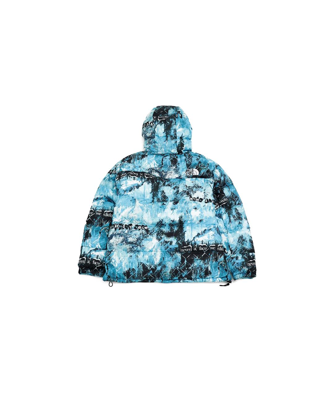 THE NORTH FACE Синий пуховик, фото 2