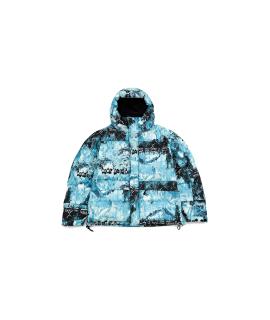 THE NORTH FACE Пуховик