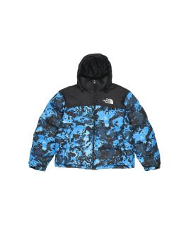 THE NORTH FACE Пуховик
