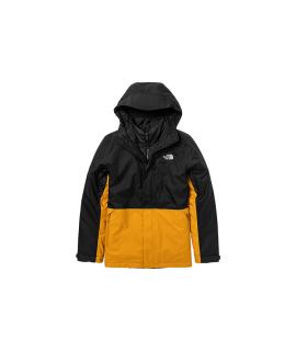 THE NORTH FACE Пуховик