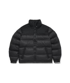 THE NORTH FACE Пуховик