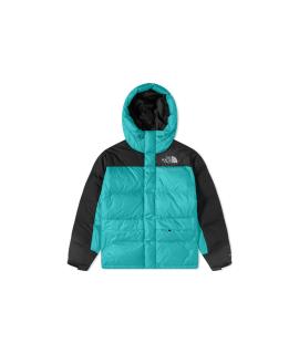 THE NORTH FACE Пуховик
