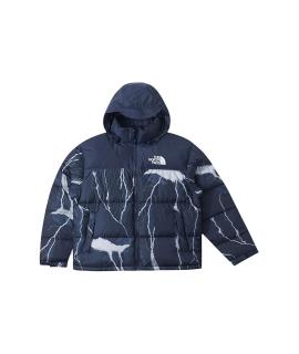 THE NORTH FACE Пуховик