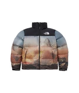 THE NORTH FACE Пуховик