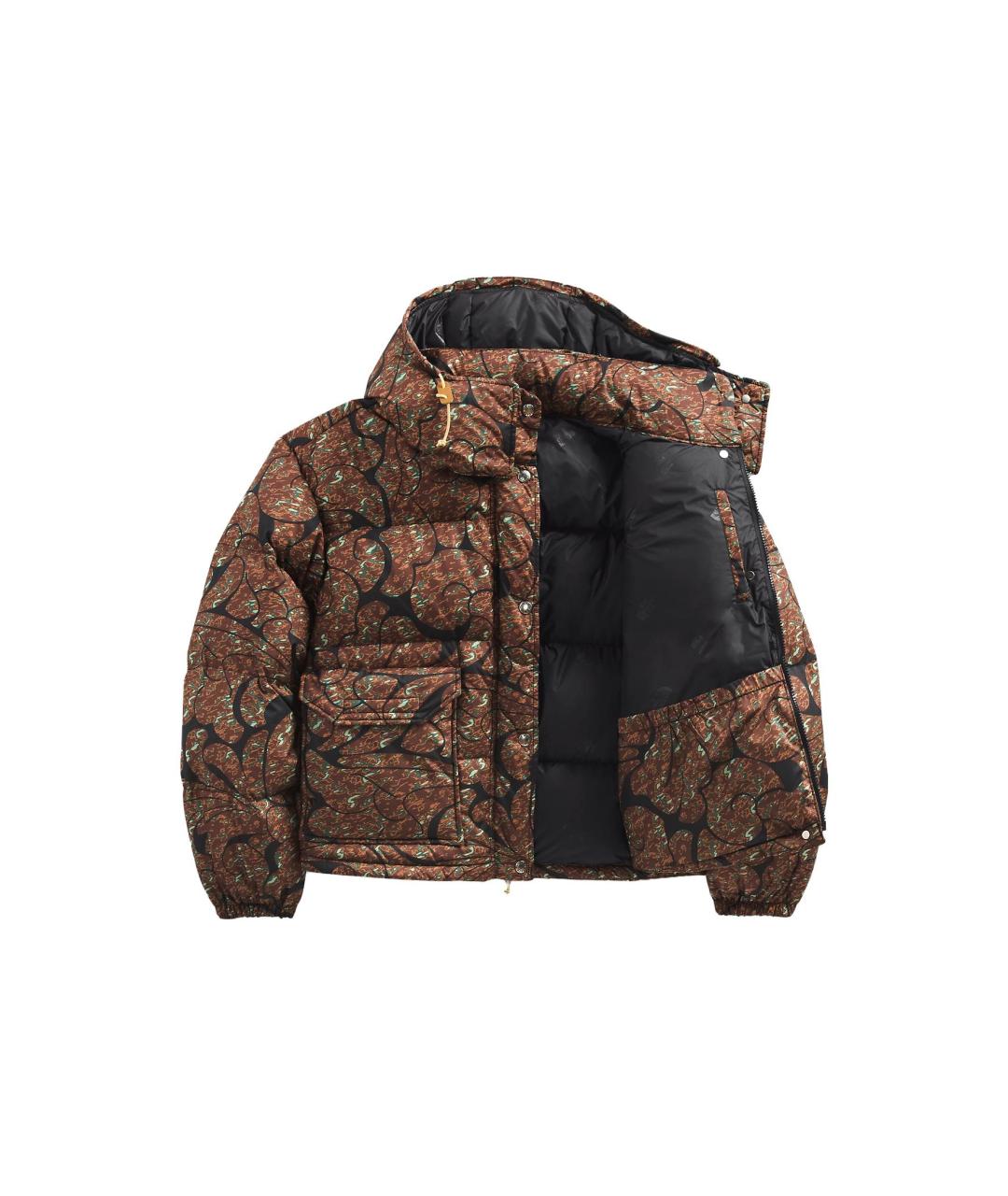 THE NORTH FACE Коричневый пуховик, фото 2