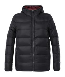 THE NORTH FACE Пуховик