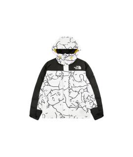 THE NORTH FACE Пуховик