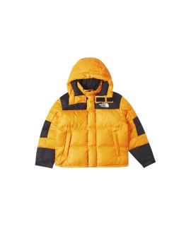 THE NORTH FACE Пуховик