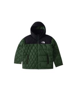 THE NORTH FACE Пуховик