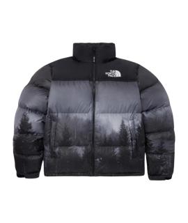 THE NORTH FACE Пуховик