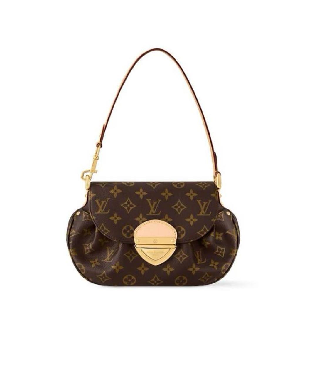 LOUIS VUITTON Коричневая кожаная сумка через плечо, фото 1